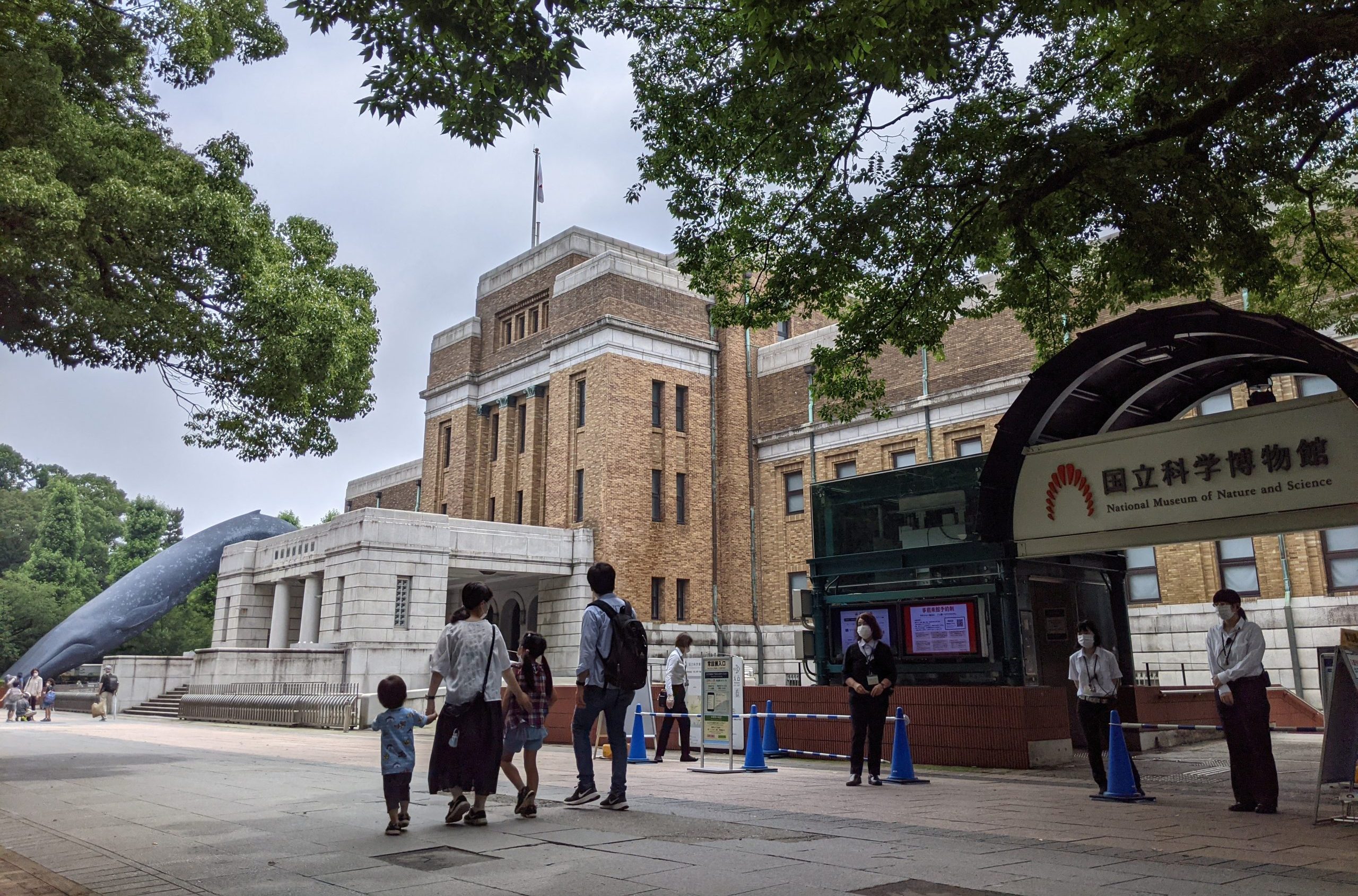 新たな技術が支えるコロナ禍の国立科学博物館―展示・学習支援、研究・収集活動の現在と将来